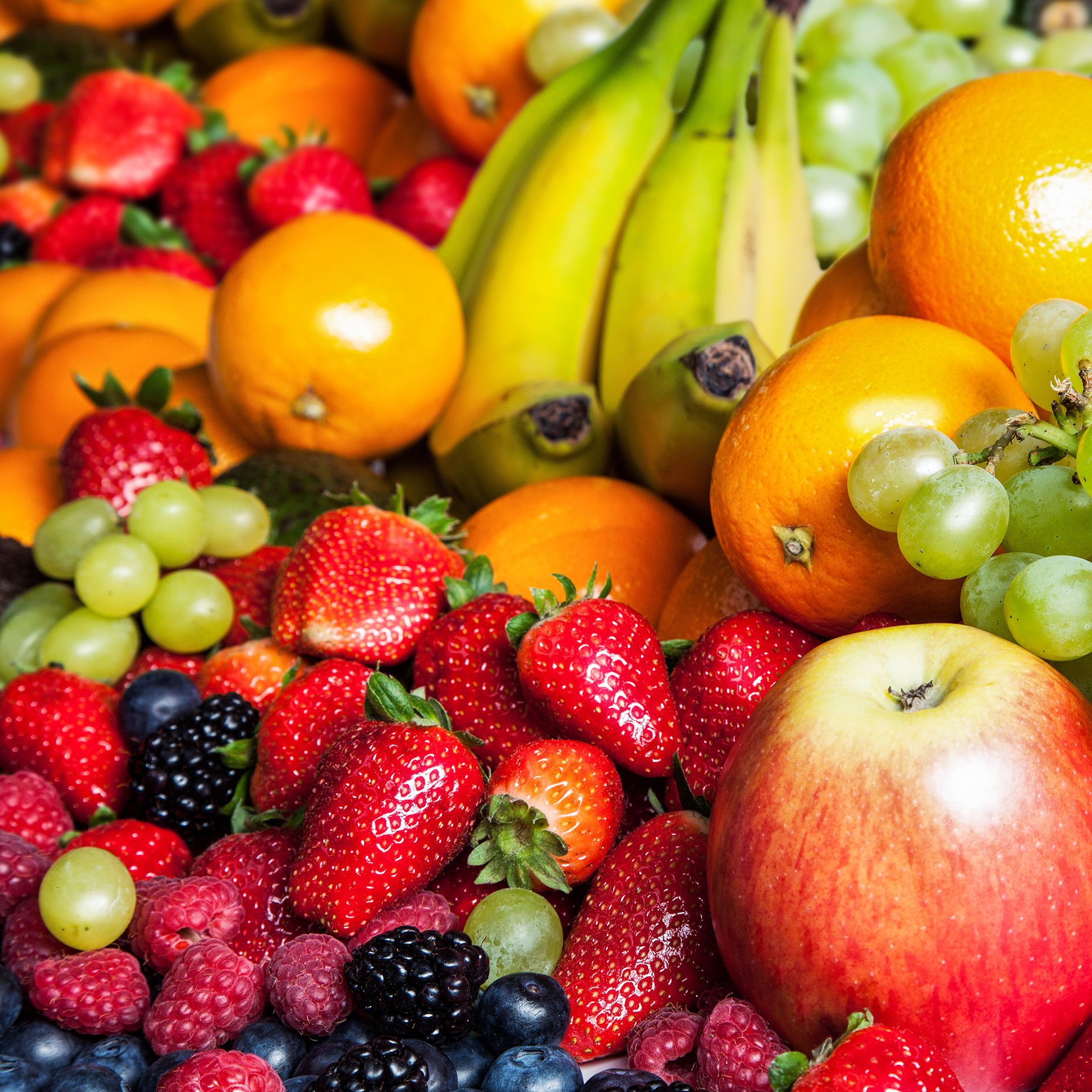 nofruit
